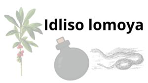 Read more about the article Idliso lomoya