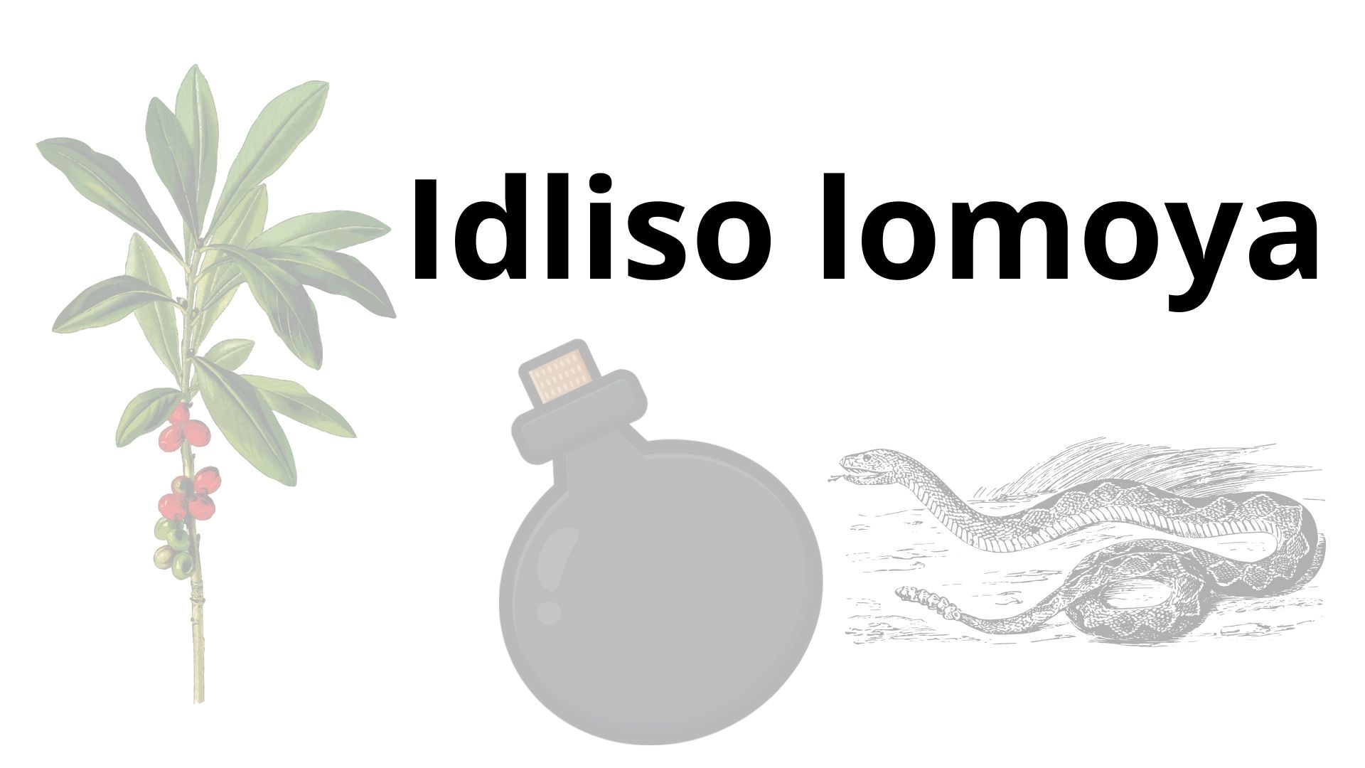 Idliso lomoya