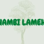 Read more about the article Ikhambi lamehlo