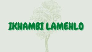 Read more about the article Ikhambi lamehlo