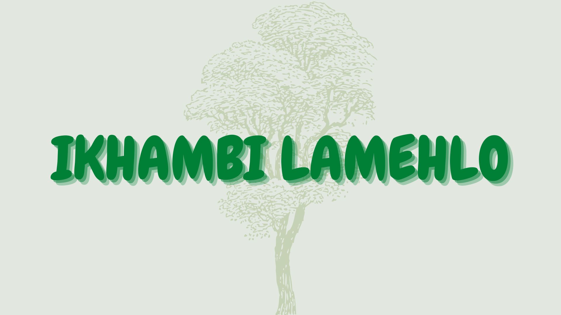 You are currently viewing Ikhambi lamehlo
