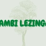 Read more about the article Ikhambi lezingane