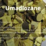 Read more about the article Umadlozane