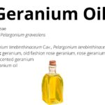 Read more about the article Geranium Oil