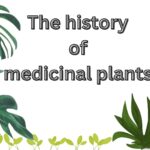 Read more about the article The history of medicinal plants