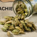 Read more about the article Elachie