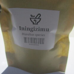 Iningizimu