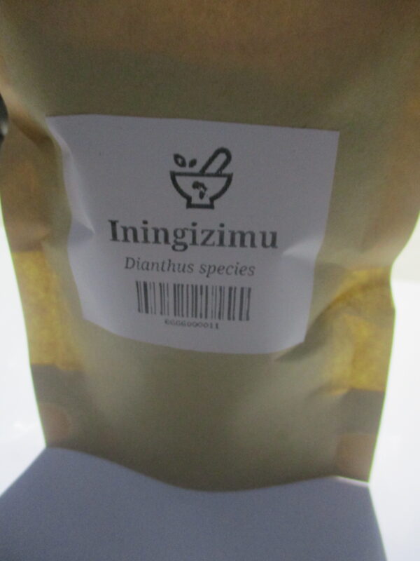 Iningizimu