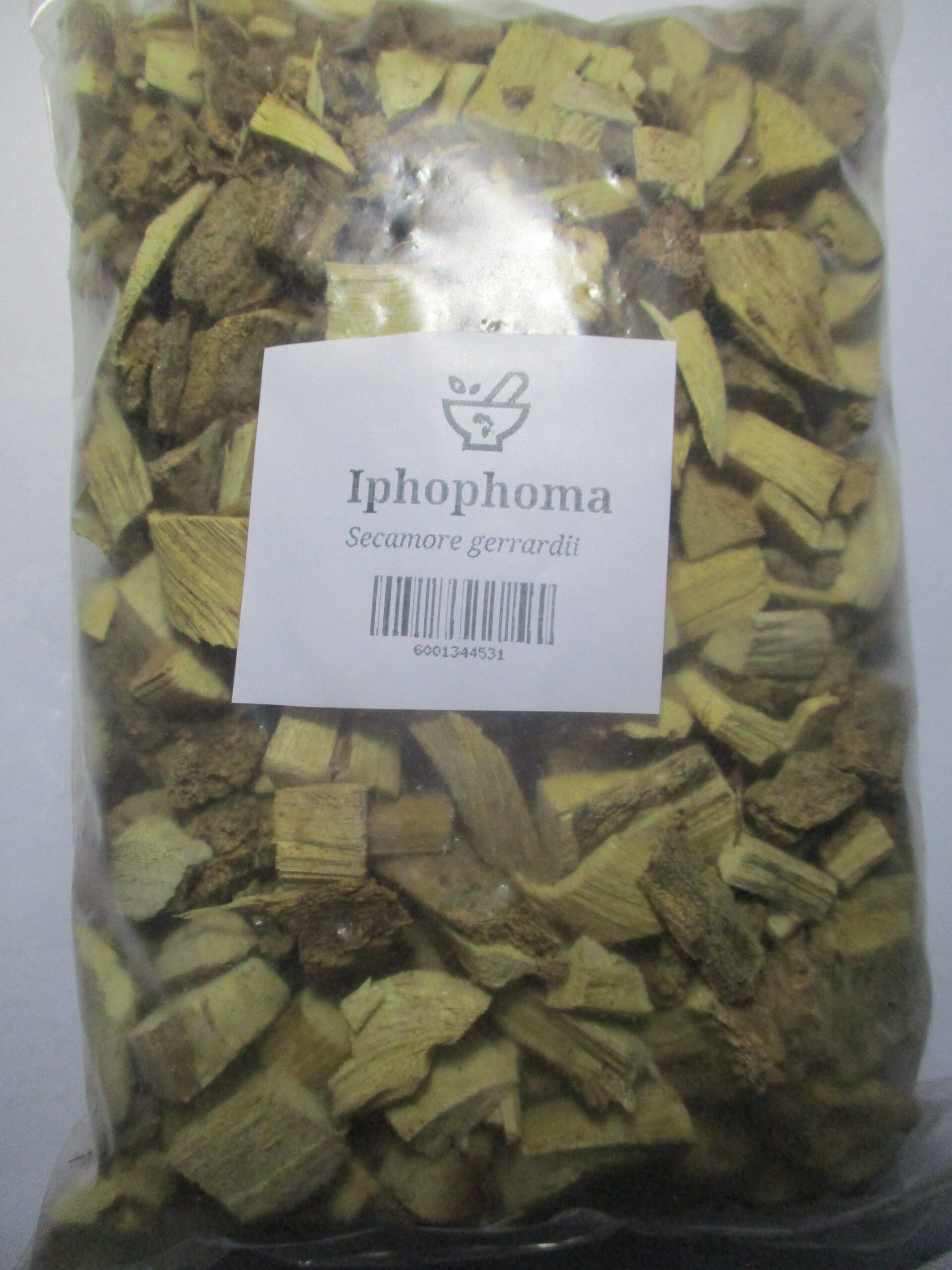Iphophoma