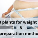 Read more about the article 10 plants for weight loss & preparation methods