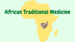 Read more about the article African traditional medicine