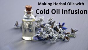 Read more about the article Making Herbal Oils with Cold Oil Infusion