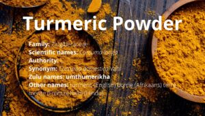 Read more about the article Turmeric Powder