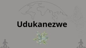 Read more about the article Udukanezwe
