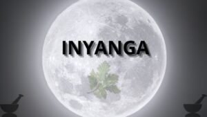 Read more about the article Inyanga (the moon, a month, and healer)