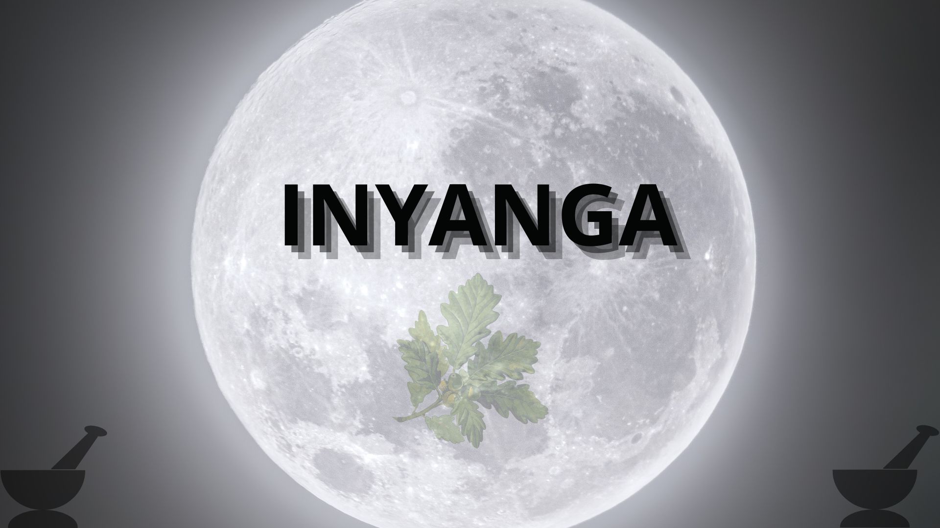 You are currently viewing Inyanga (the moon, a month, and healer)