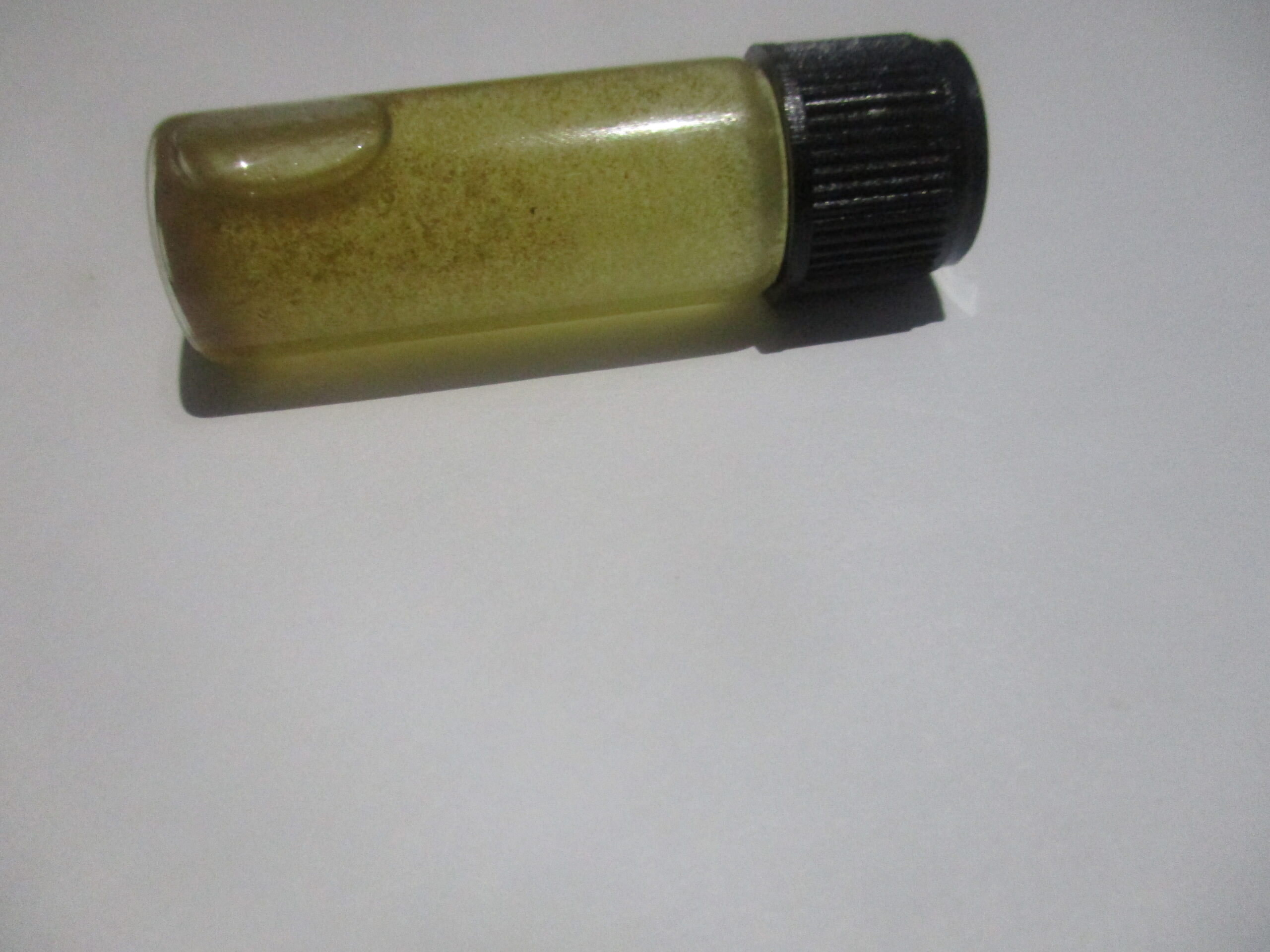 umhlonyane oil