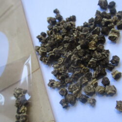 Spinach seeds (10)