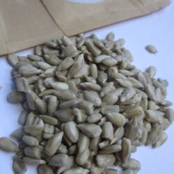 Sunflower seeds (100g)