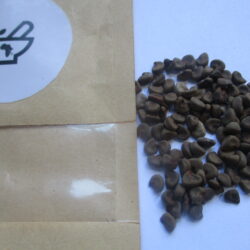 Hibiscus (Roselle) seeds (10)