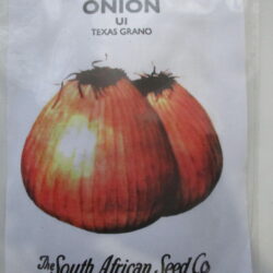 Onion Seeds