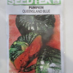 Pumpkin (Queensland Blue)