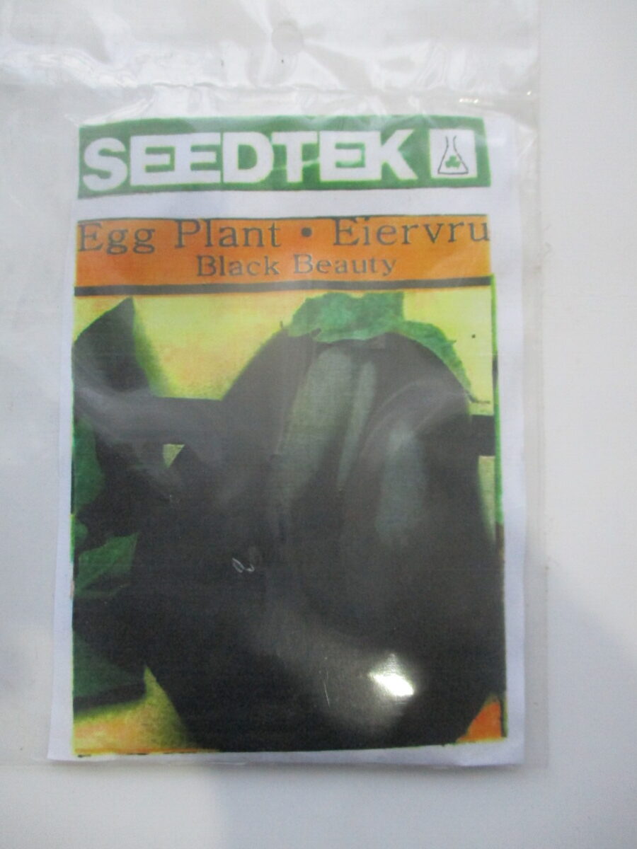 Eggplant Seeds