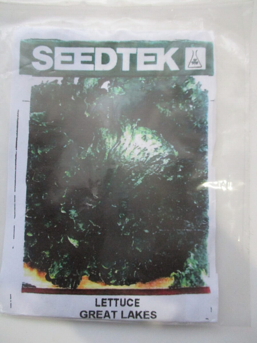 Lettuce Seeds