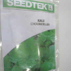 Kale Seeds