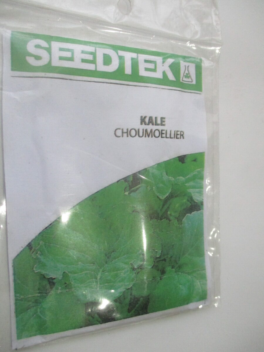 Kale Seeds