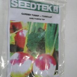 Garden Turnip