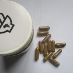 Umvongothi Capsules (60)