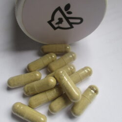 Giloy 60 Capsules