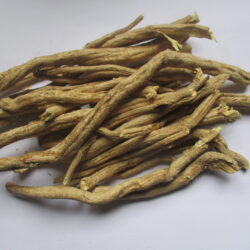 African dream root (undlela zimhlophe)