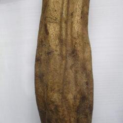 Umvongothi fruit