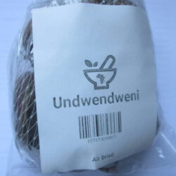 Undwendweni