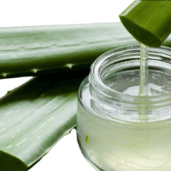 Pure Aloe Vera Gel