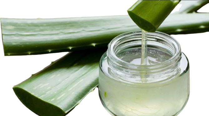 Pure Aloe Vera Gel