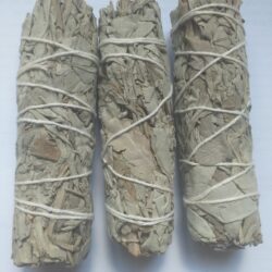 White sage smudge stick