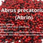 Abrus precatorius (Abrin)