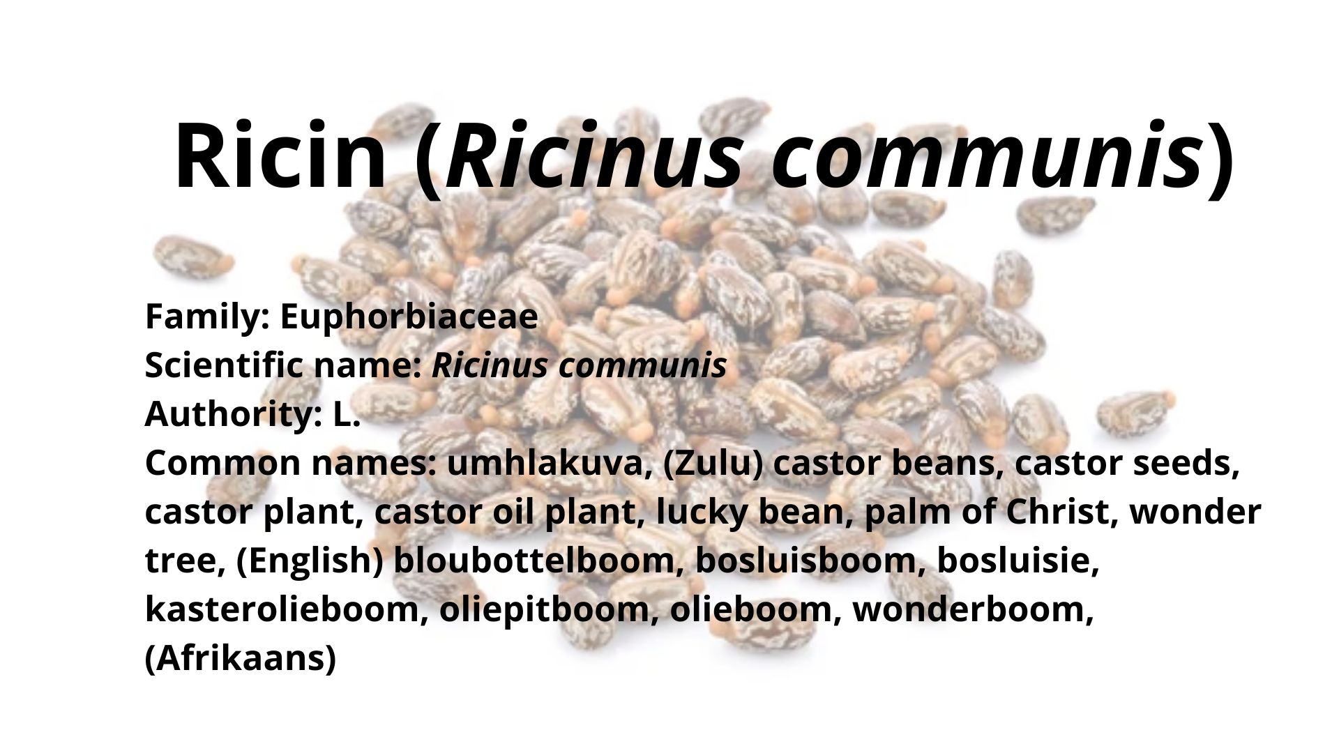 Ricin (Ricinus communis)