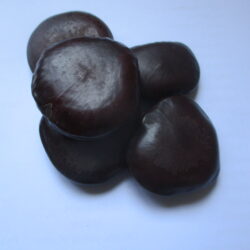 Intindili (Sea Bean)