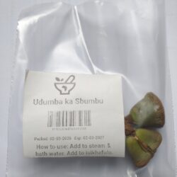 Udumba