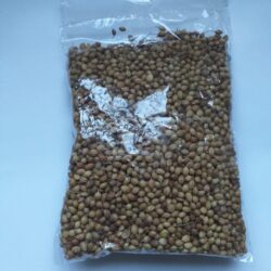 Coriander Seeds
