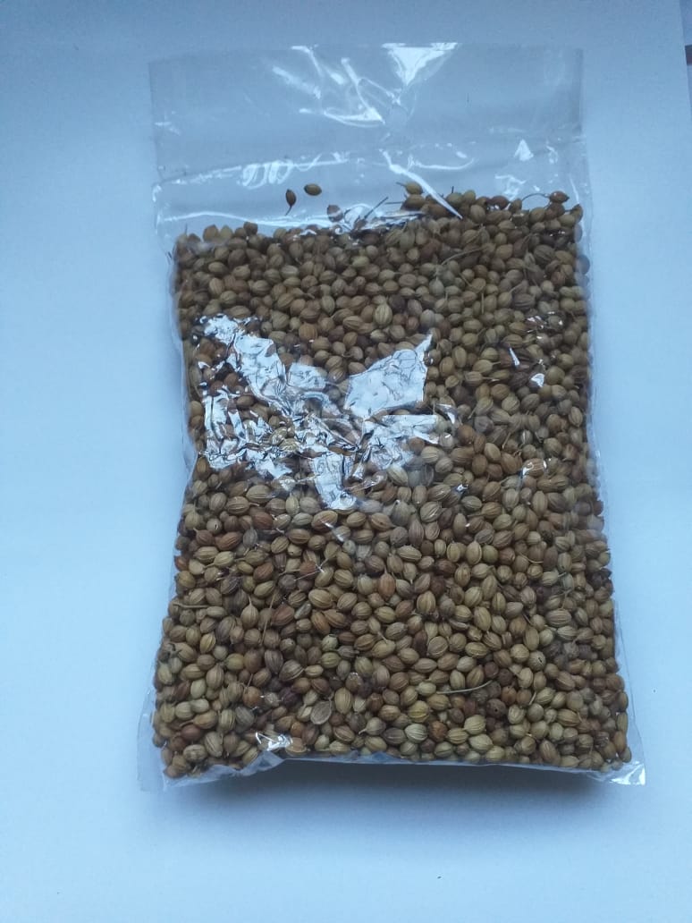 Coriander Seeds