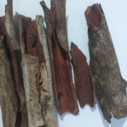 Umahlabekufeni bark powder