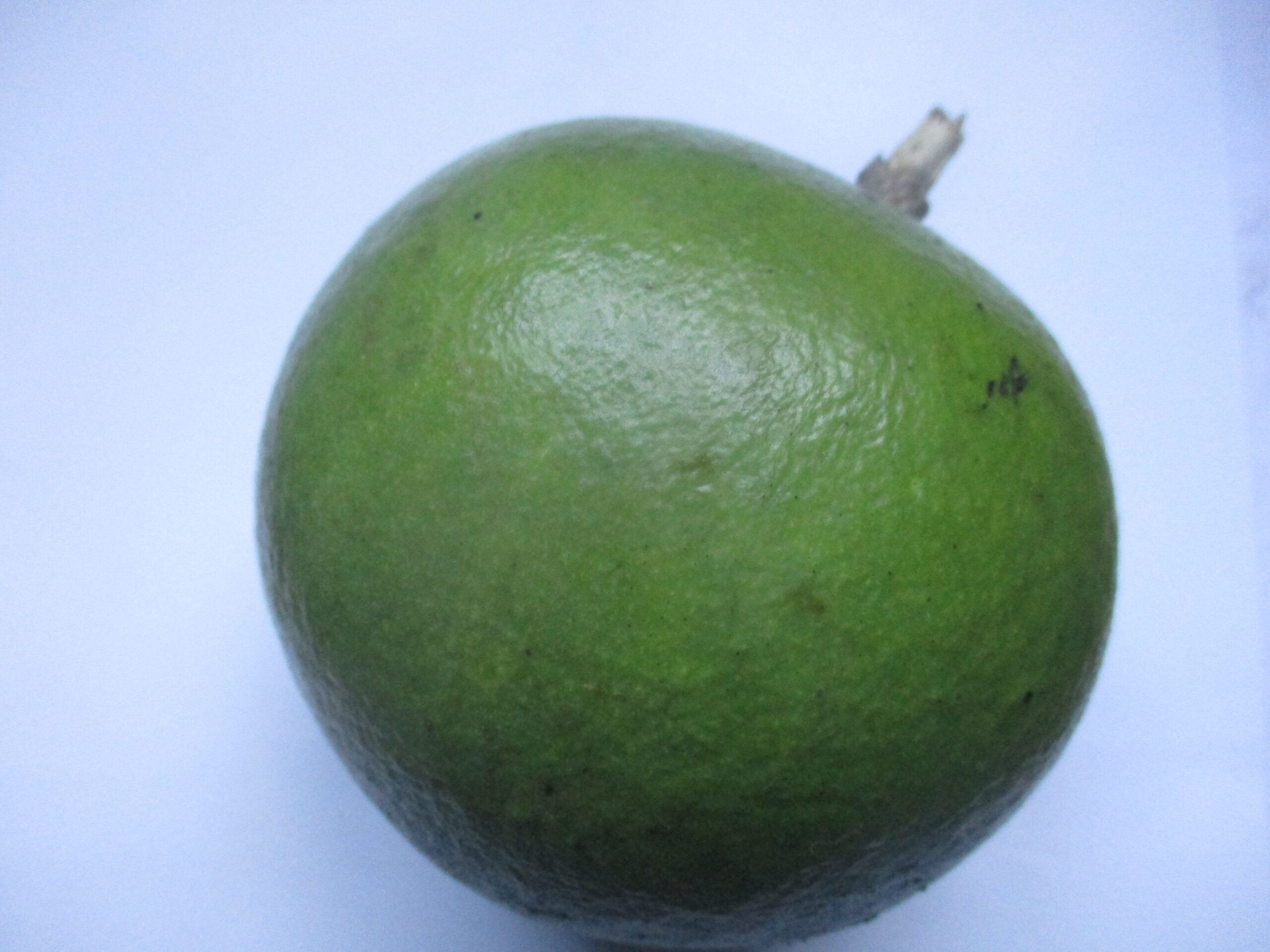 ihlala