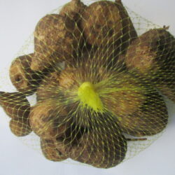 Phunyukabamphethe Root Powder