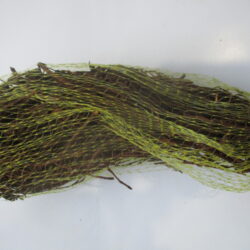 Khathibesonga Root Powder