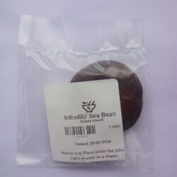 Intindili (Sea Bean)